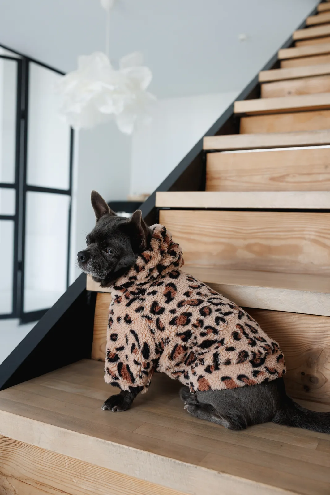 Толстовка Pet Fashion Push для собак S2 — фото 5