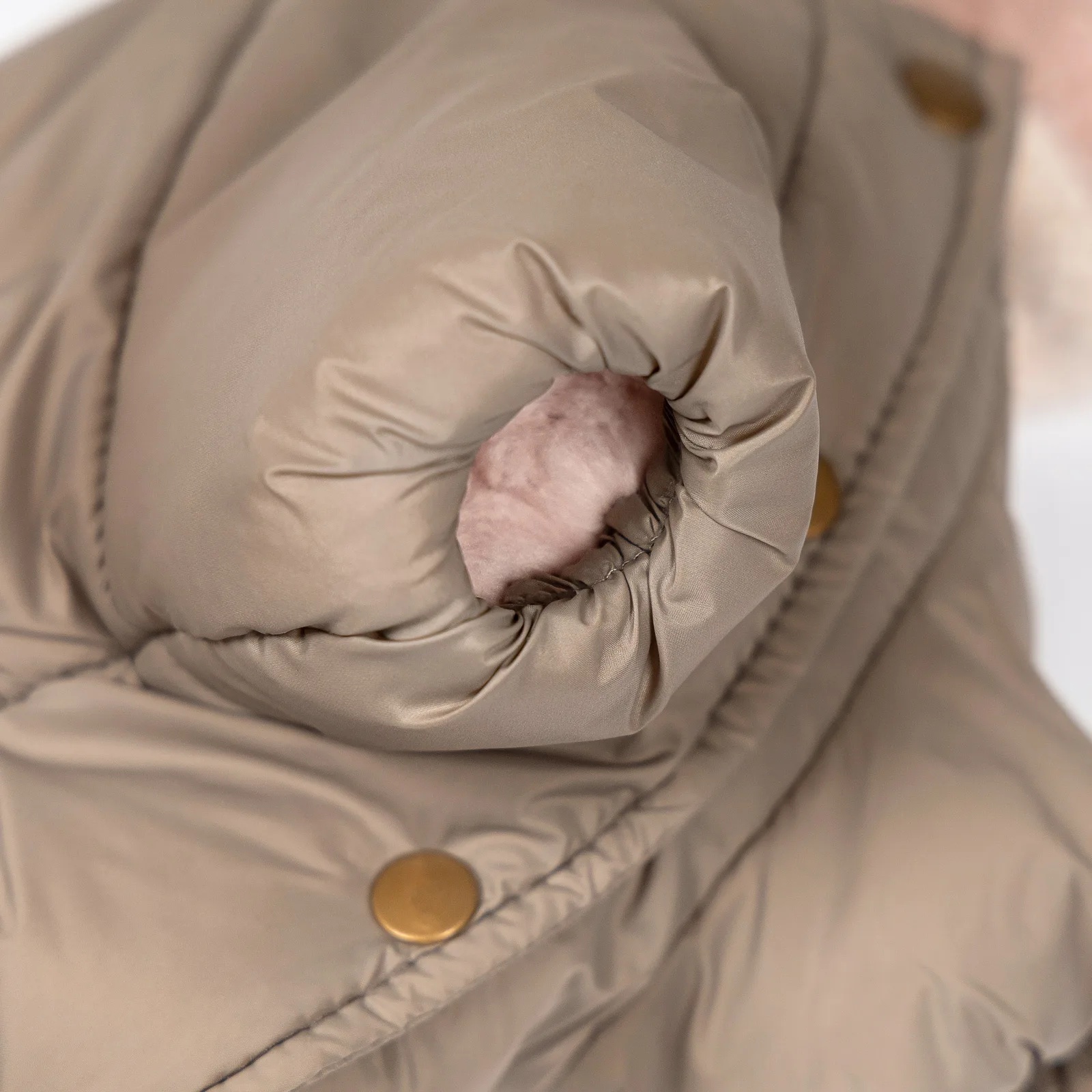 Комбінезон Pet Fashion Flora для собак дівчинка M — фото 5