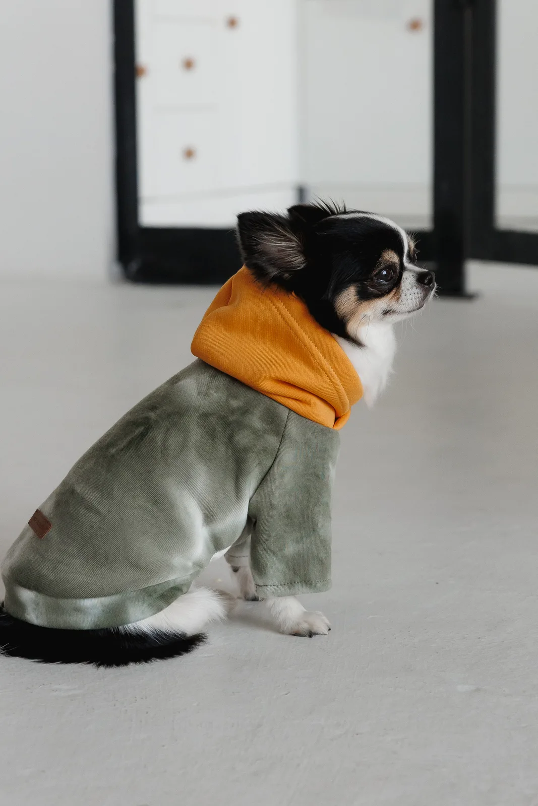 Толстовка Pet Fashion Tie-dye для собак XS — фото 4