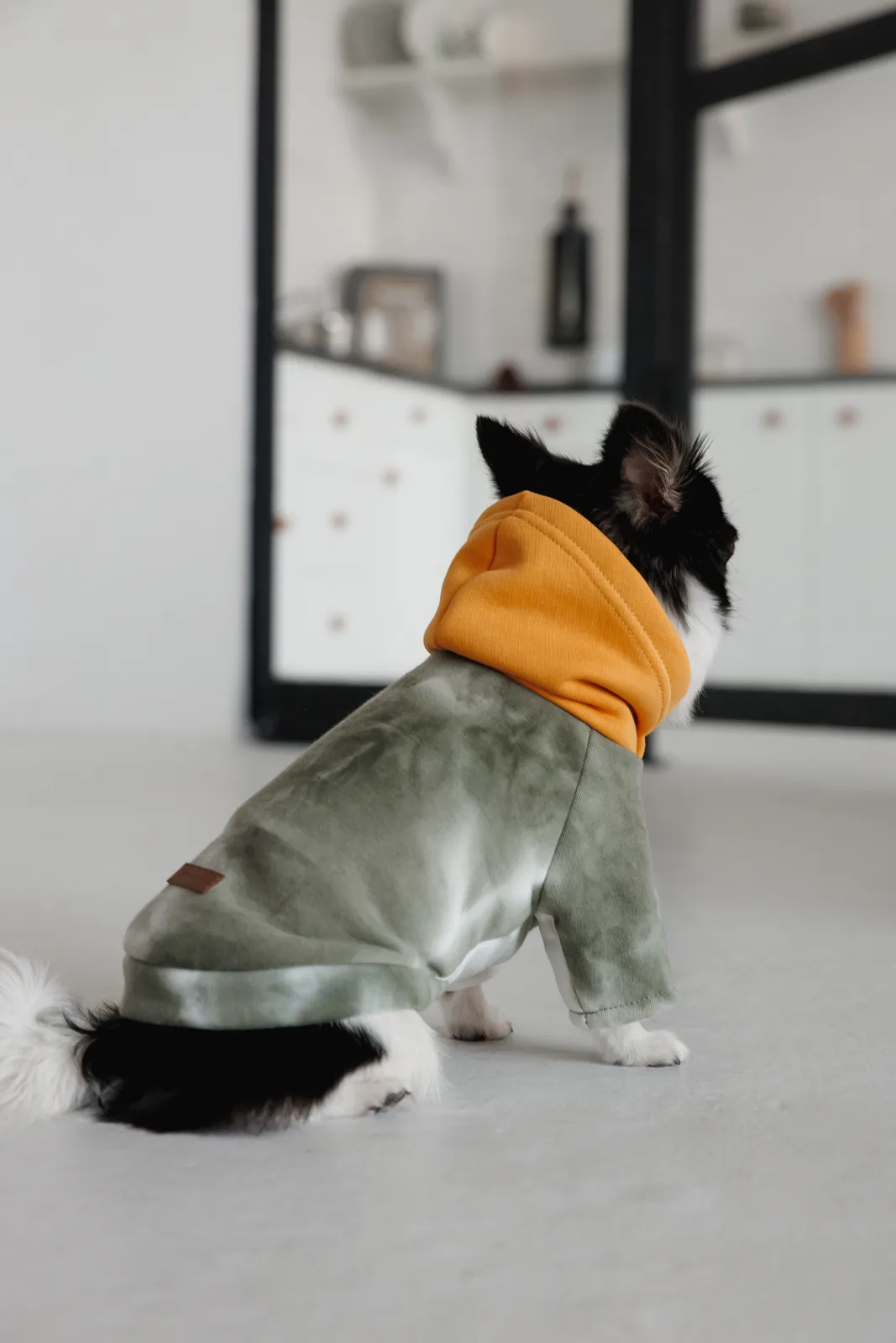 Толстовка Pet Fashion Tie-dye для собак XS — фото 5