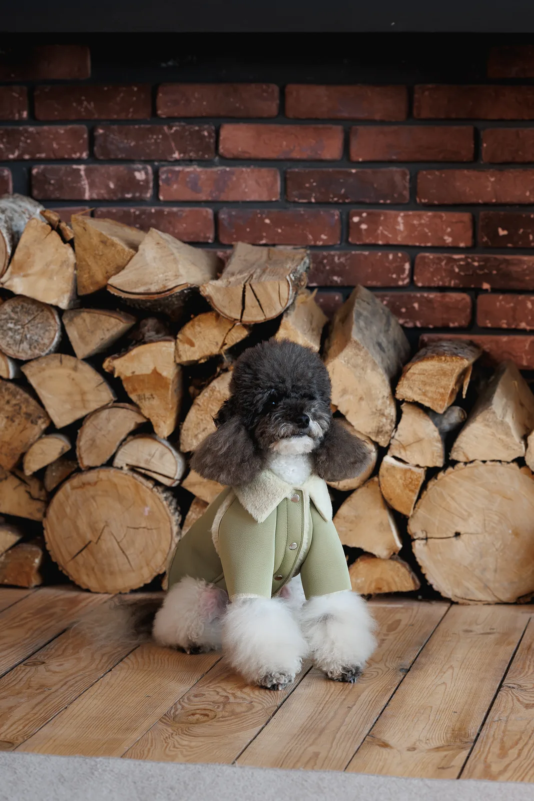 Дублянка Pet Fashion Olive для собак M — фото 4