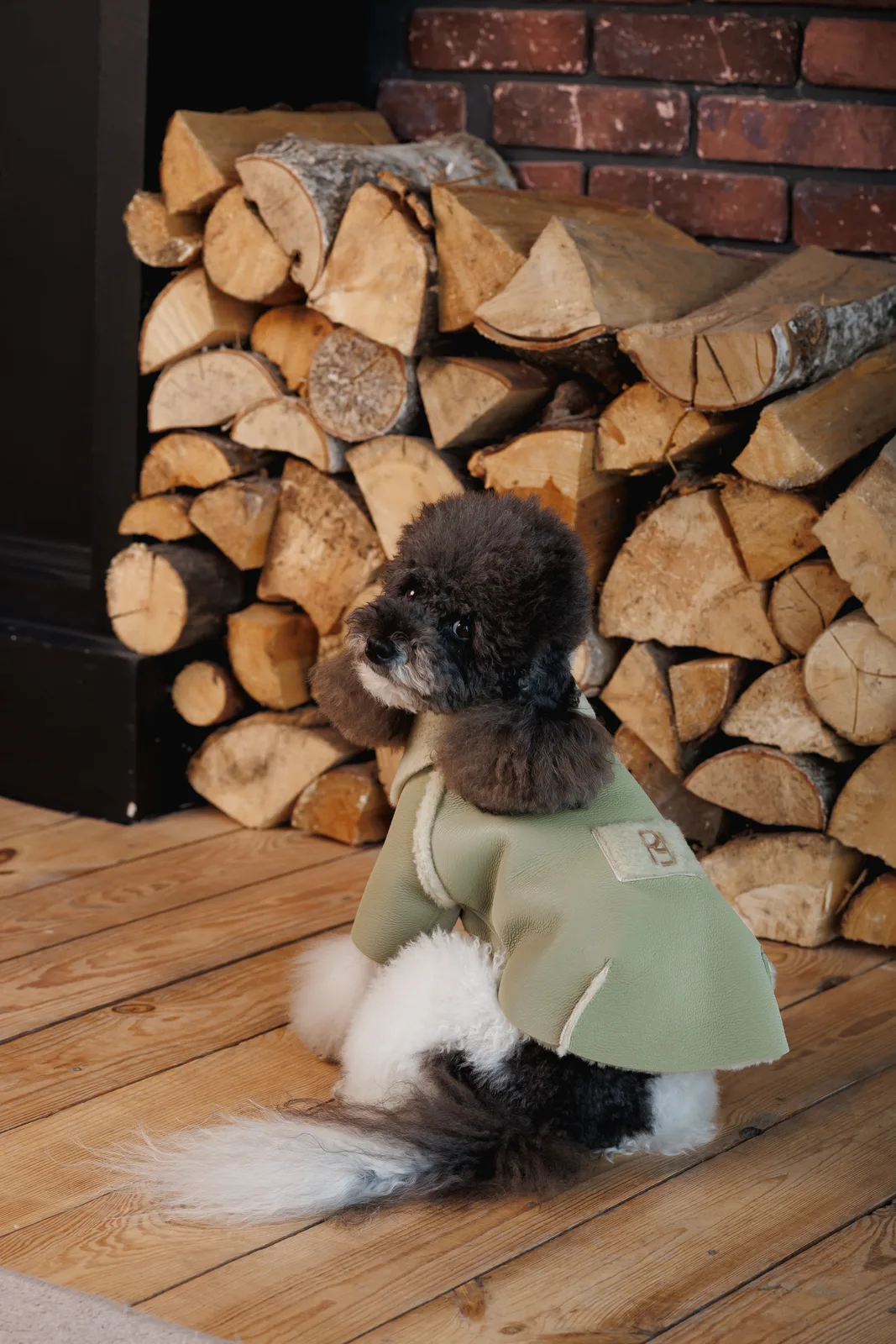 Дублянка Pet Fashion Olive для собак M — фото 6