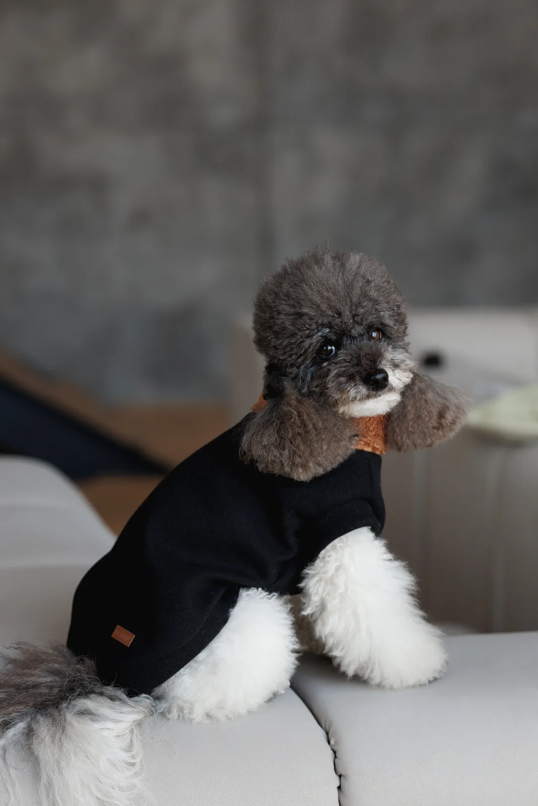 Светр Pet Fashion Mood для собак L — фото 4