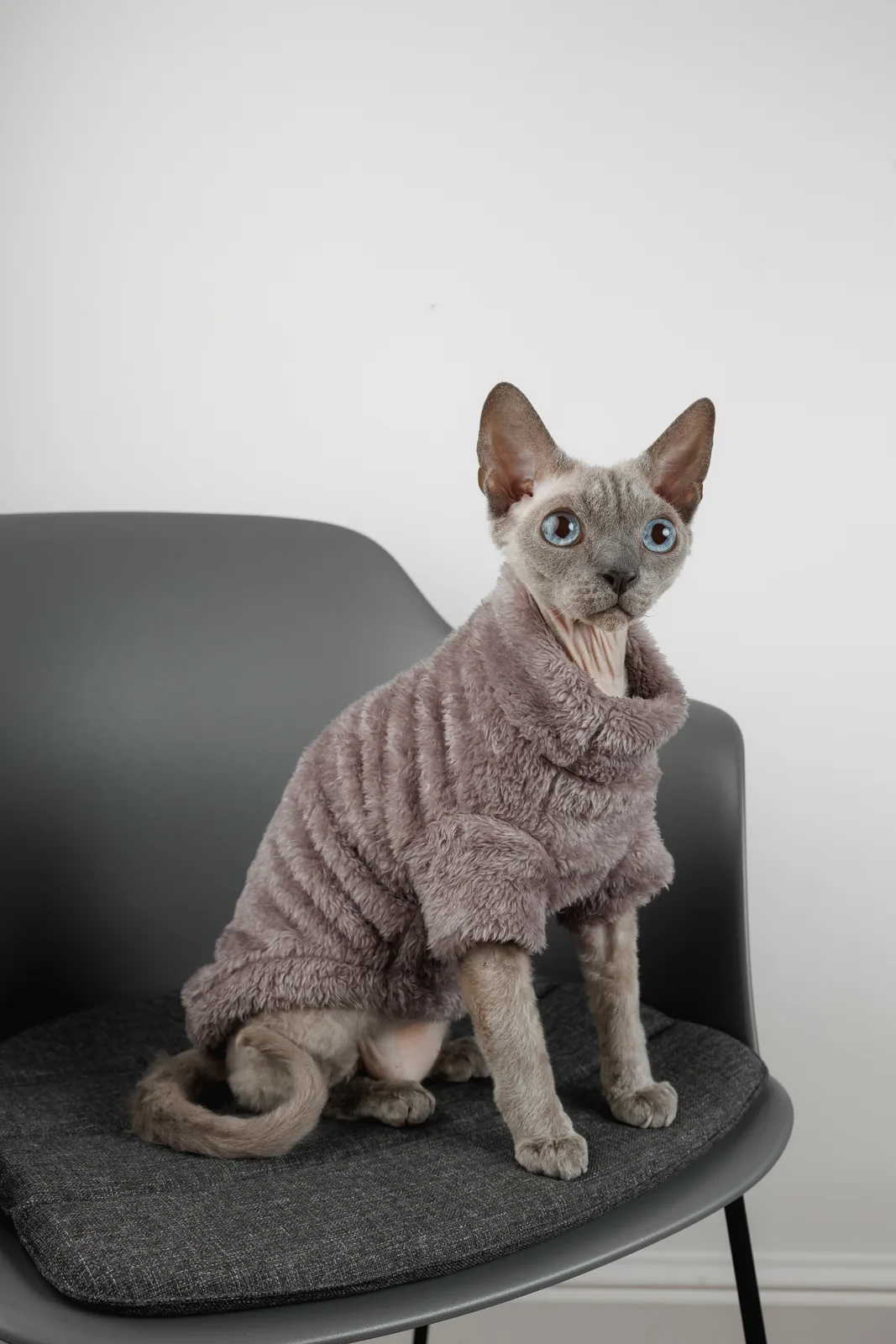 Светр для кота Pet Fashion Tim XS сірий — фото 4