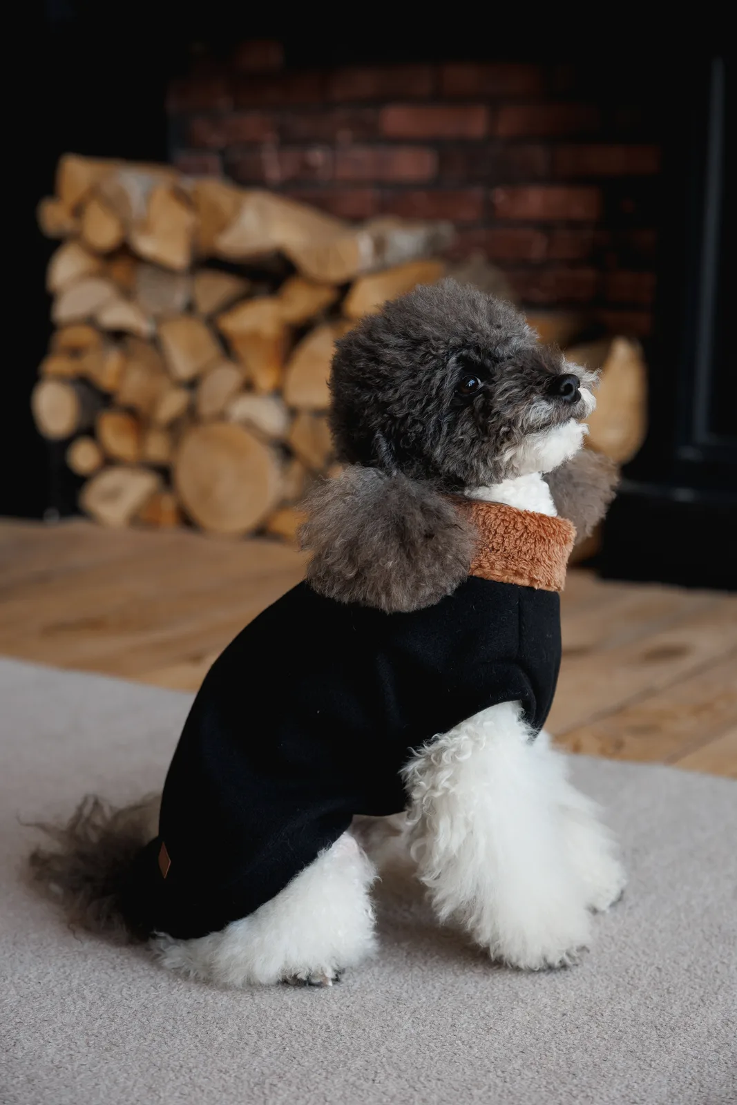 Светр Pet Fashion Mood для собак L — фото 5