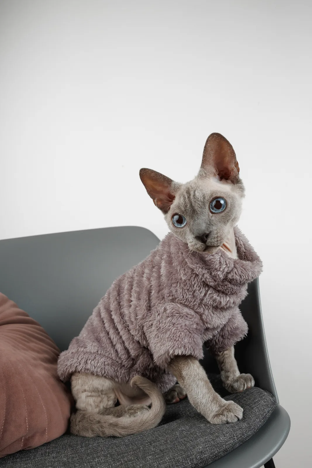 Светр для кота Pet Fashion Tim XS сірий — фото 5