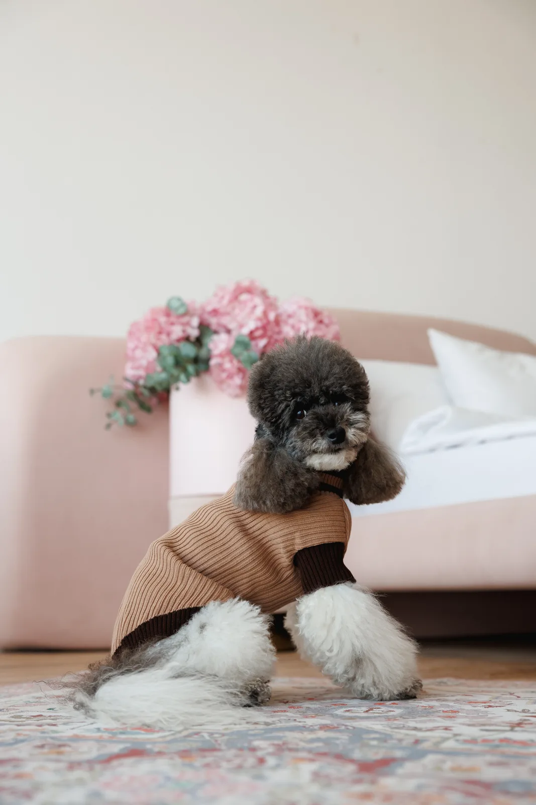Светр Pet Fashion Rob для собак L бежевий — фото 3