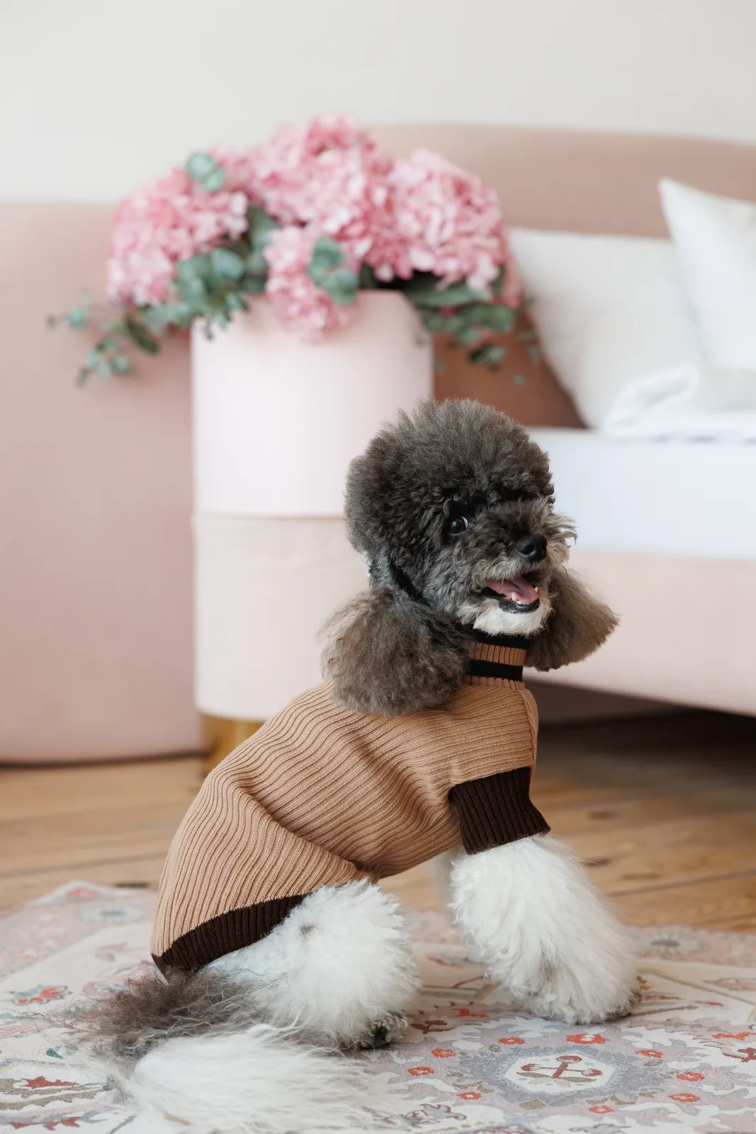 Светр Pet Fashion Rob для собак L бежевий — фото 4