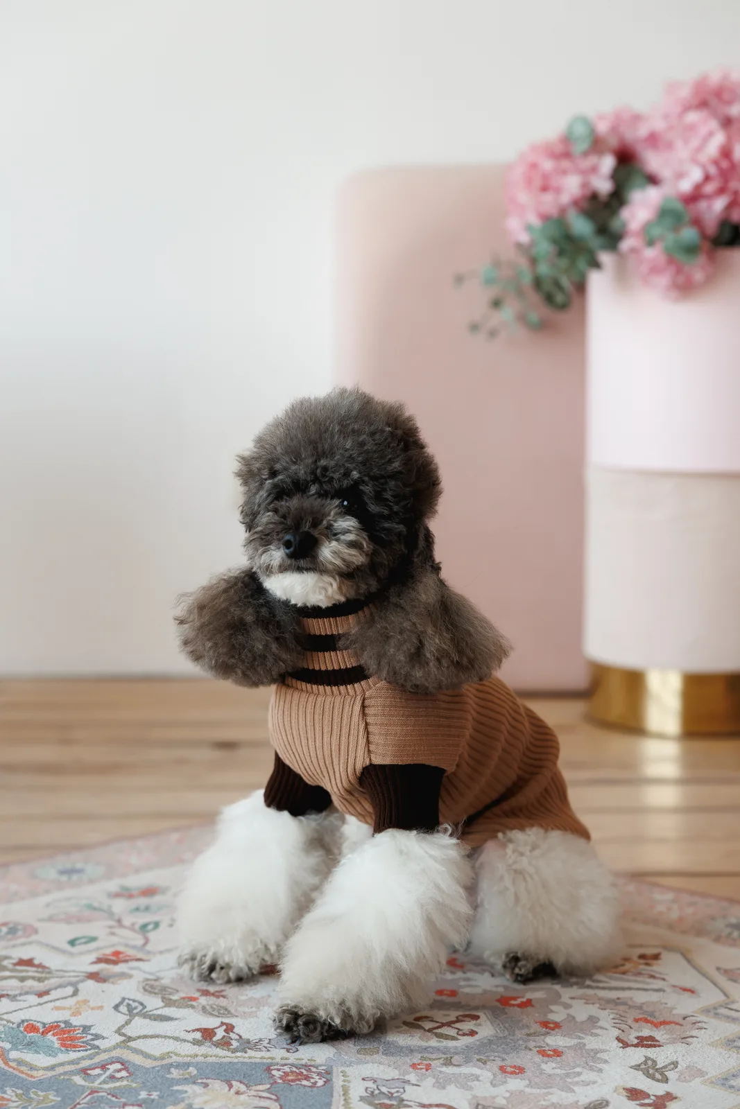 Светр Pet Fashion Rob для собак L бежевий — фото 5