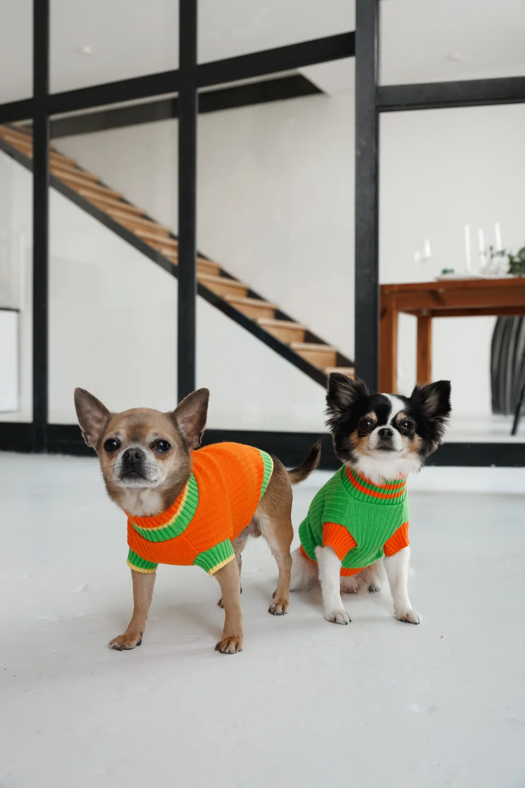 Светр Pet Fashion Rob для собак XS2 помаранчевий — фото 4