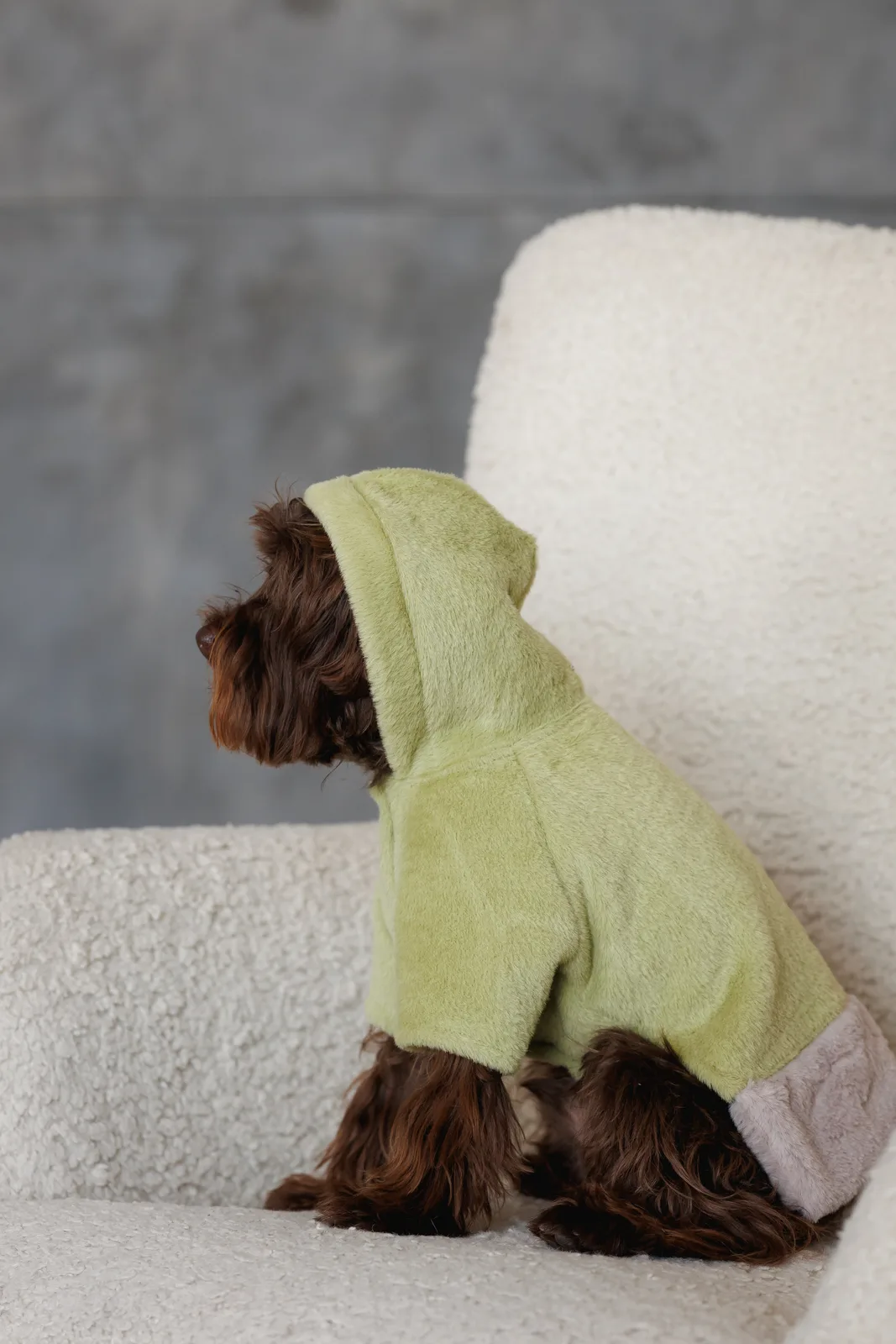 Толстовка Pet Fashion Twist для собак XXS — фото 5