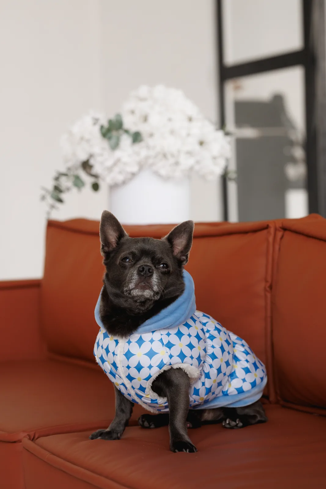 Жилет Pet Fashion Fiesta для собак M — фото 5