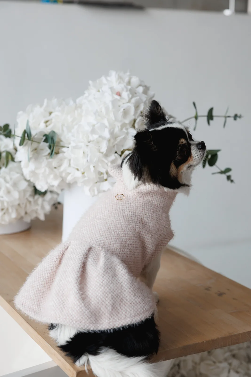 Сукня Pet Fashion Adele для собак XS — фото 4