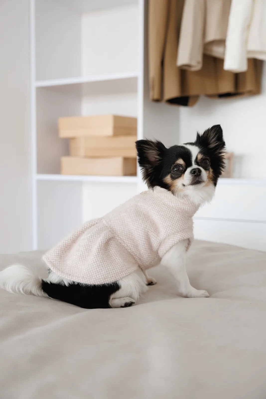 Сукня Pet Fashion Adele для собак XS — фото 5