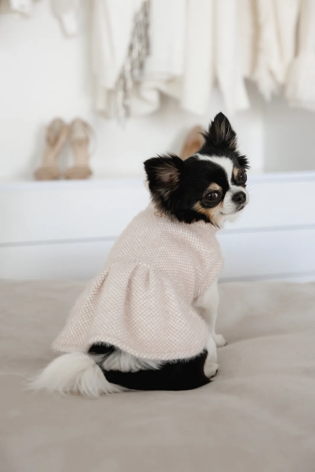Сукня Pet Fashion Adele для собак XS — фото 6