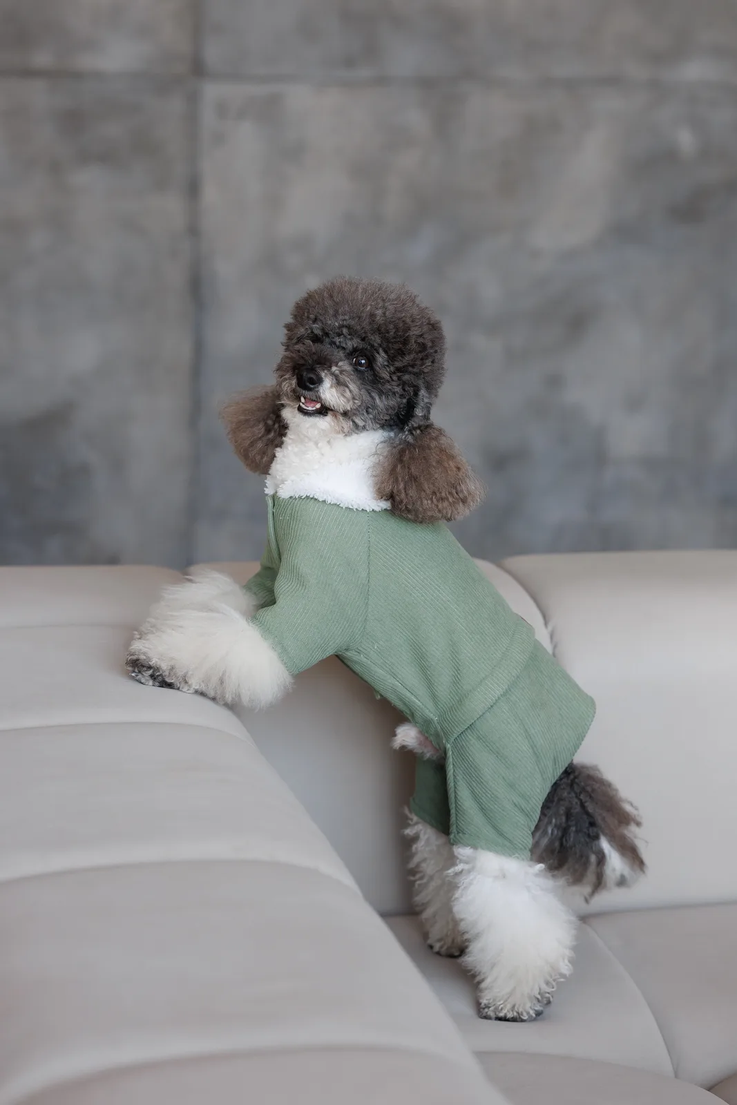 Комбінезон Pet Fashion Kiwi для собак XS — фото 8