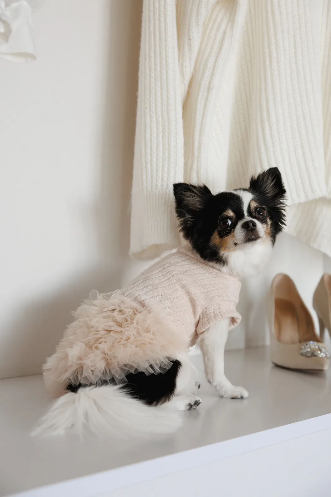Сукня Pet Fashion Kathryn для собак XXS — фото 4