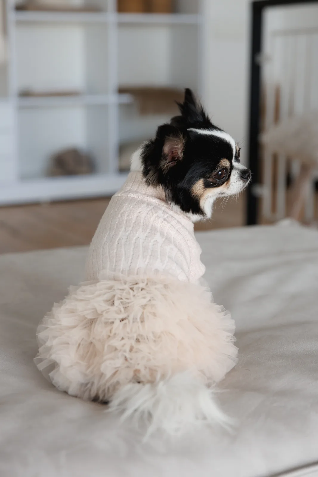 Сукня Pet Fashion Kathryn для собак XXS — фото 5