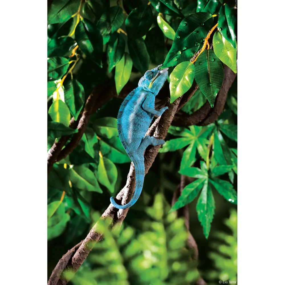 Рослина ExoTerra для тераріуму Jungle Vine Лоза S — фото 2