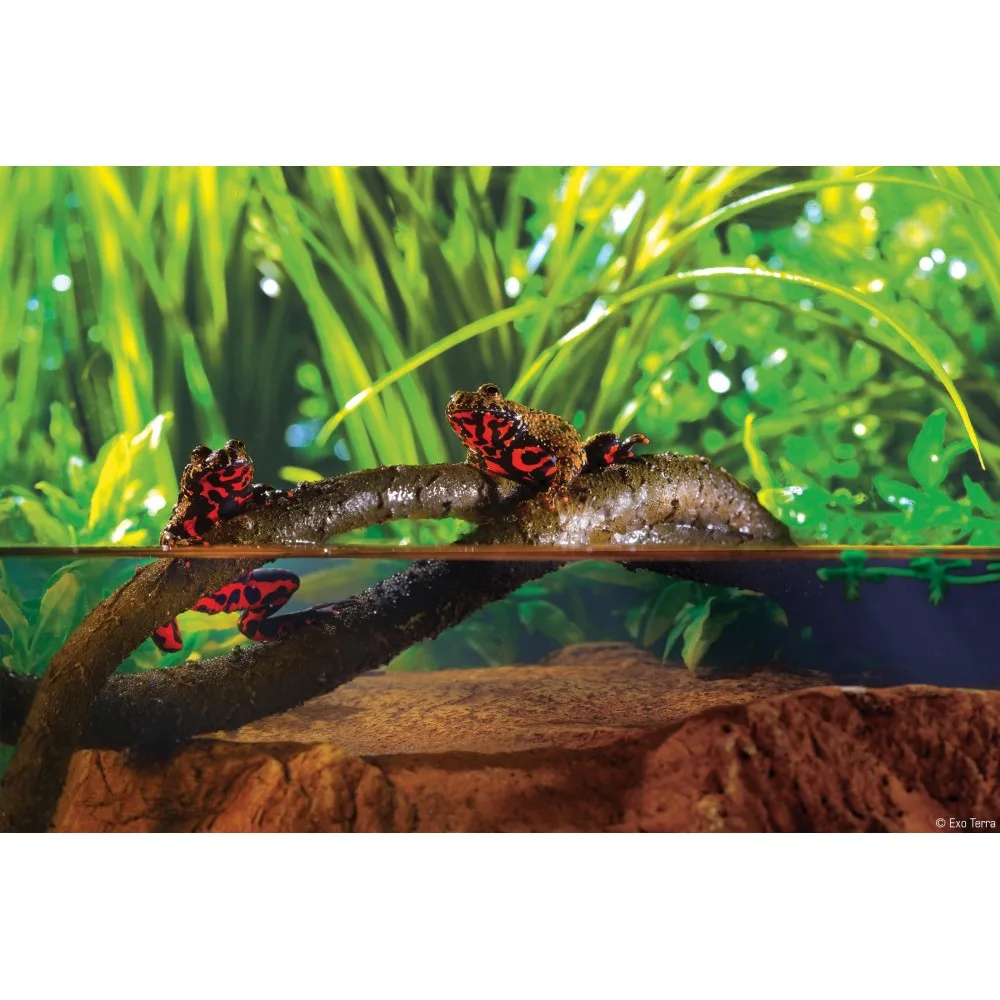 Рослина ExoTerra для тераріуму Jungle Vine Лоза S — фото 4