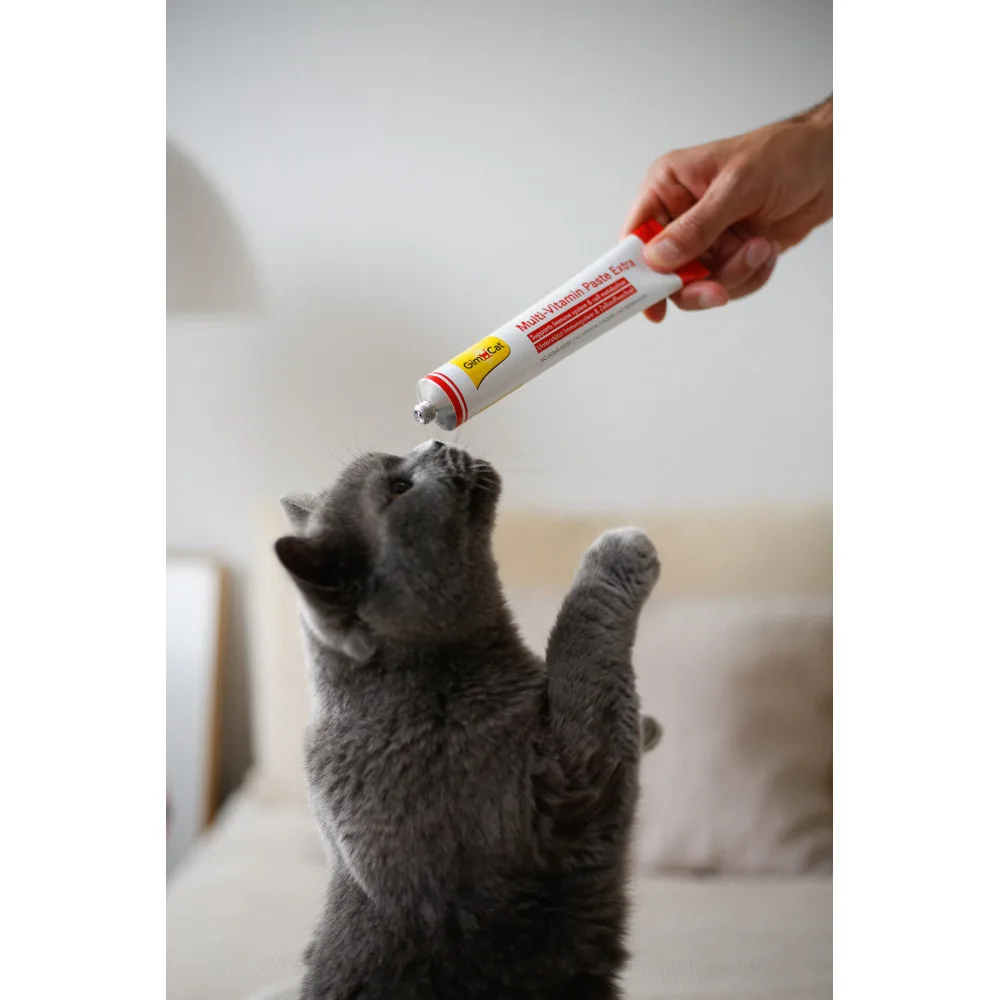 Вітаміни GimCat Every Day Extra мультивітамінна паста для котів для покращення імунітета 200 г — фото 4