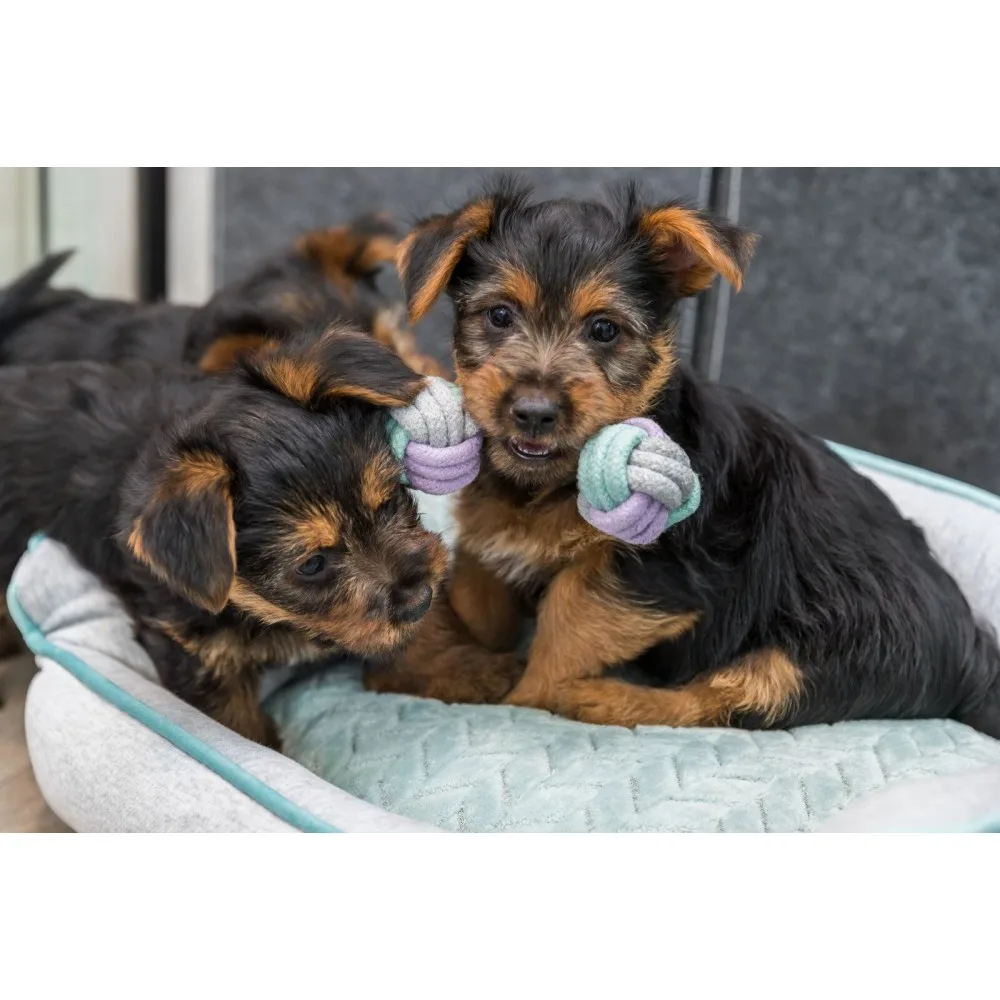 Іграшка Trixie Junior Rope Dumbbell для цуценят Гантель з канатом котон 15 см — фото 4