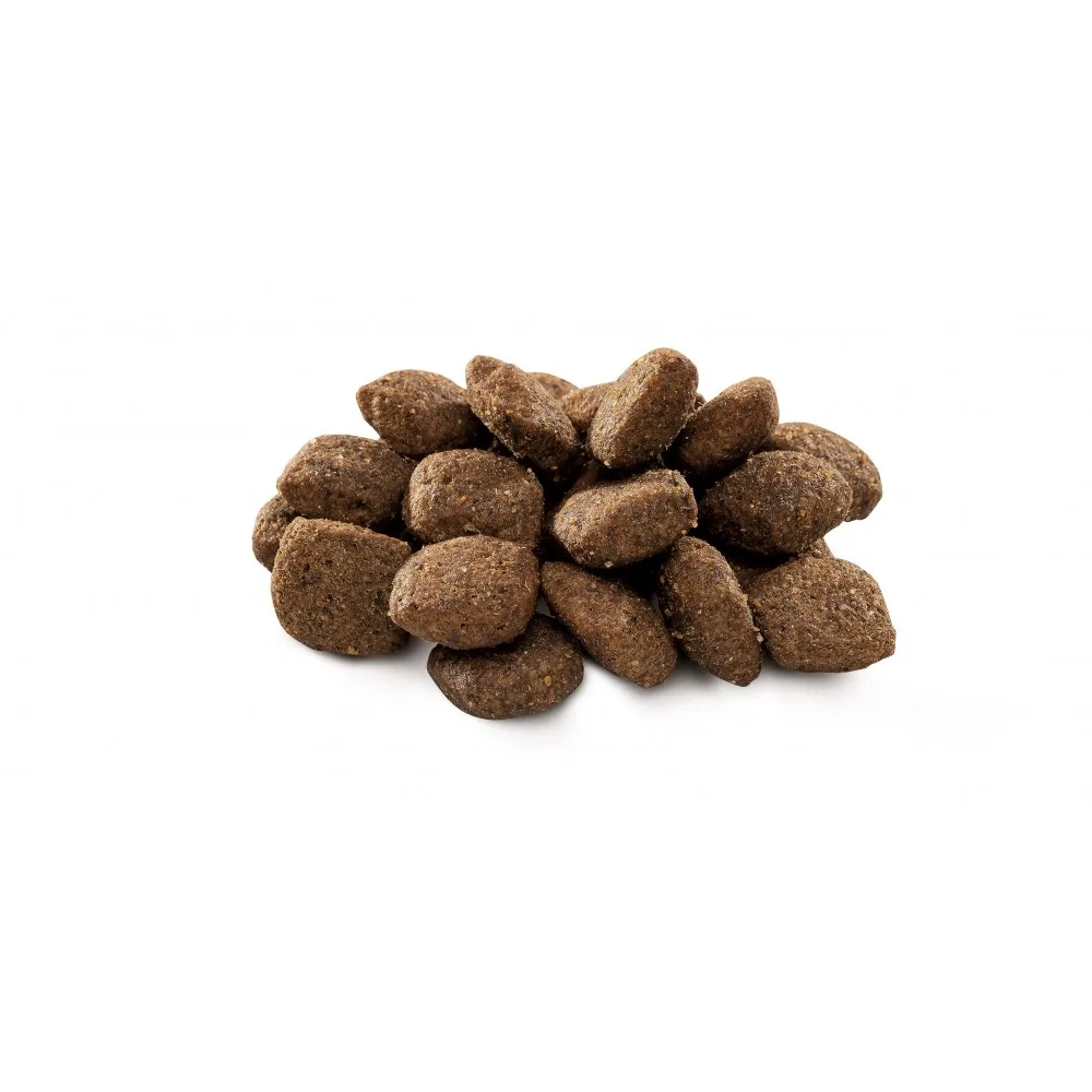 Корм сухий Brit Premium Dog Sensitive Lamb для собак з чутливим травленням з ягням 1 кг — фото 2