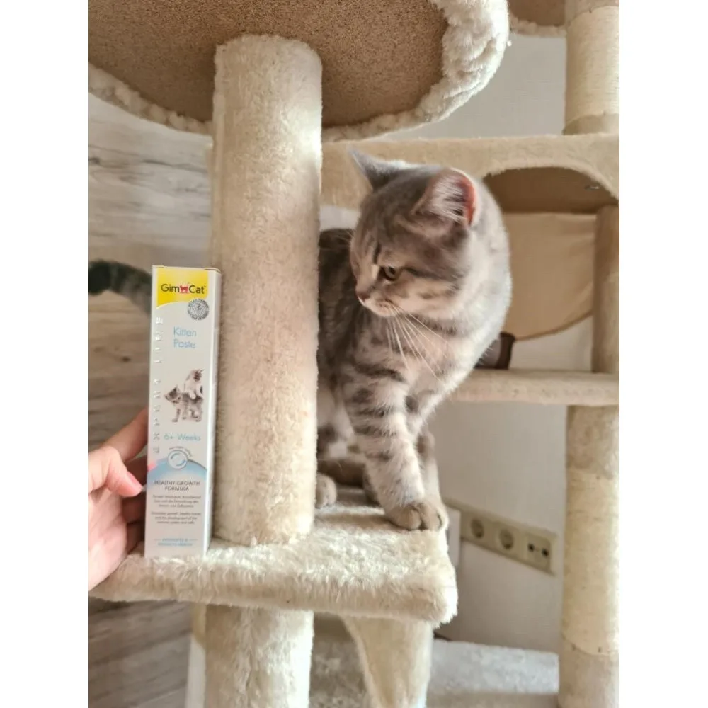Вітаміни GimCat Expert Line Kitten для кошенят вітамінізована паста 50 г — фото 3