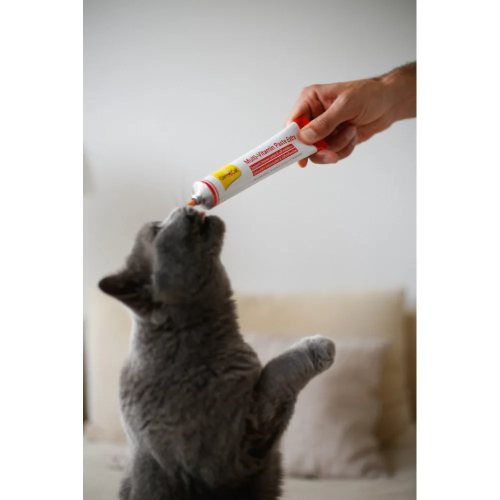Вітаміни GimCat Every Day Extra мультивітамінна паста для котів для покращення імунітета 50 г — фото 4