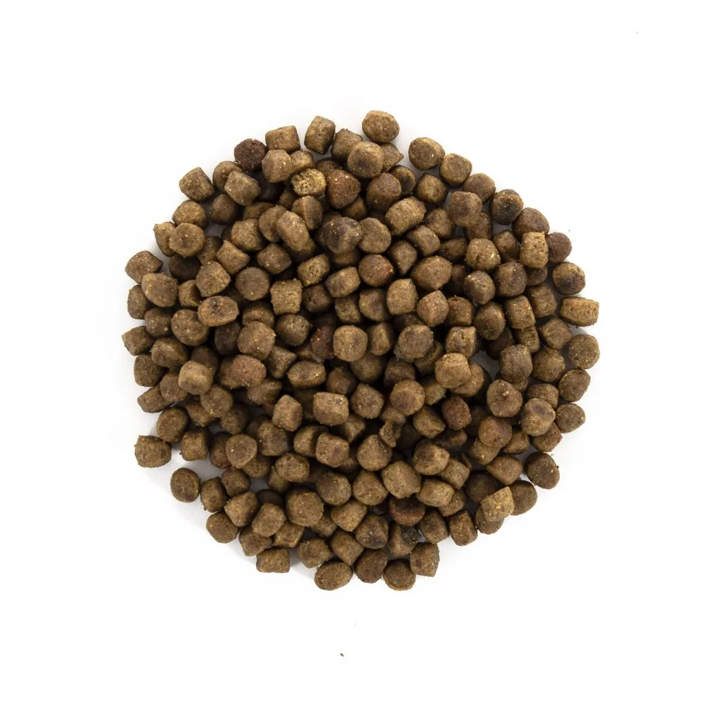Корм сухий Brit Care Cat Grain Free Kitten Healthy Growth & Development для кошенят для здорового зростання та розвитку 2 кг — фото 2