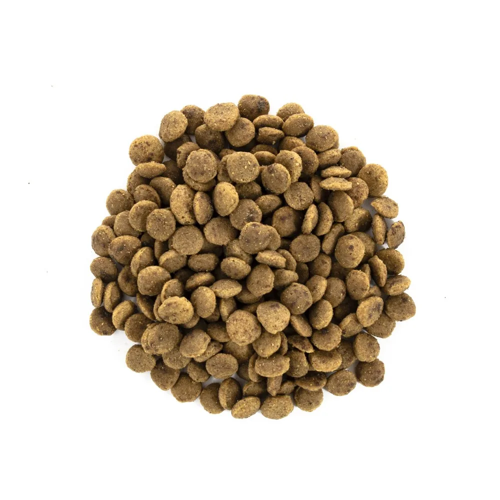 Корм сухий Brit Care Cat Grain Free Large Power Vitality для дорослих котів великих порід з качкою та куркою 2 кг — фото 2