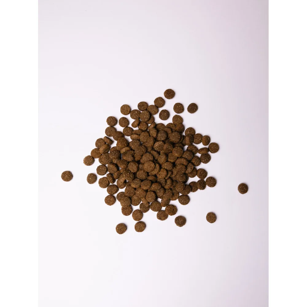 Корм сухий Savory Junior Large rich in Fresh Turkey & Chicken для молодих собак великих порід від 25 кг зі свіжою індичкою т — фото 2