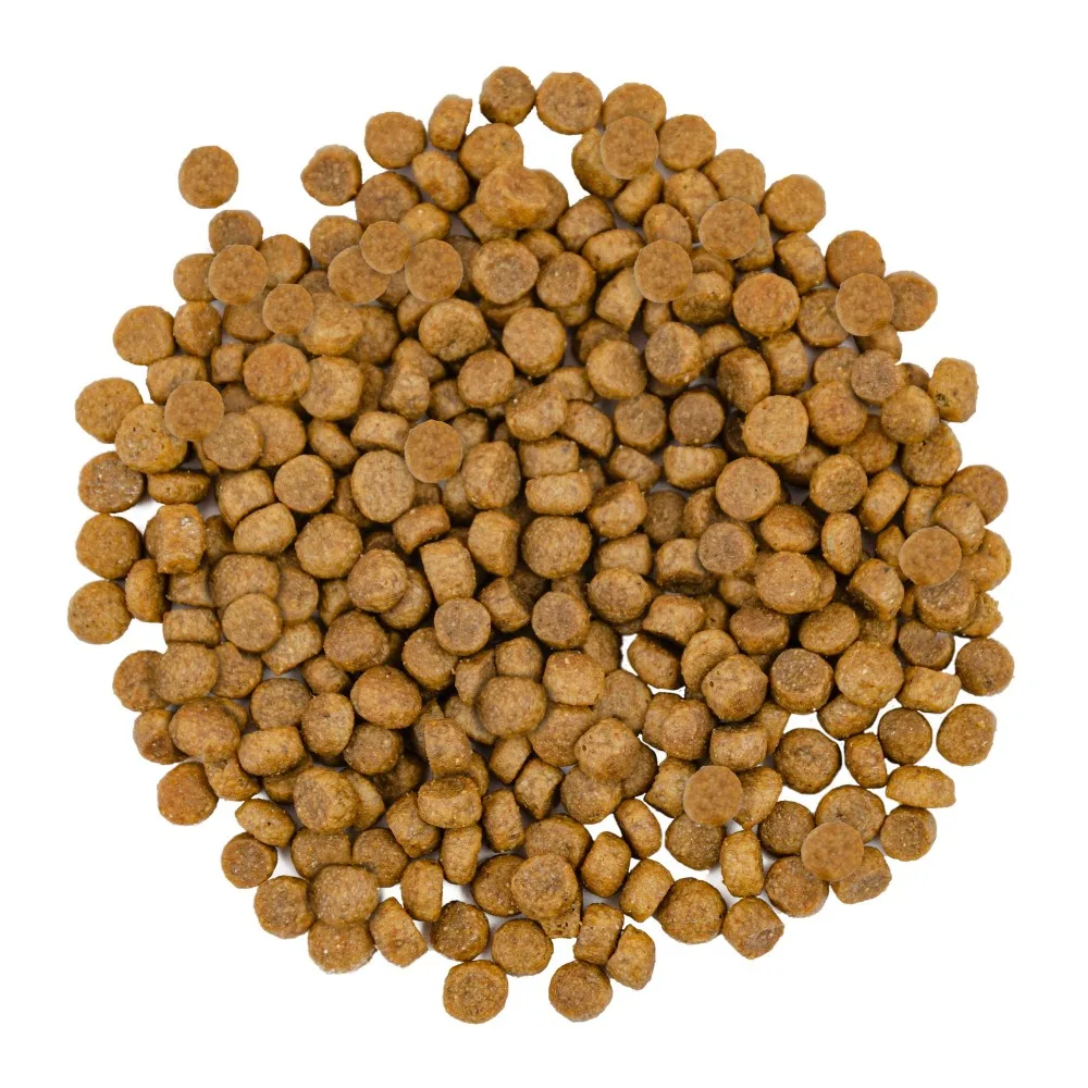 Корм сухий Savory Adult Cat Gourmand Fresh Salmon&White Fish для довгошерстих котів зі свіжим лососем і білою рибою 8 кг — фото 2