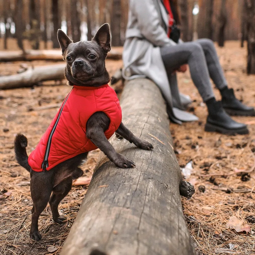 Жилет Pet Fashion E.Vest для собак червоний M2 — фото 4