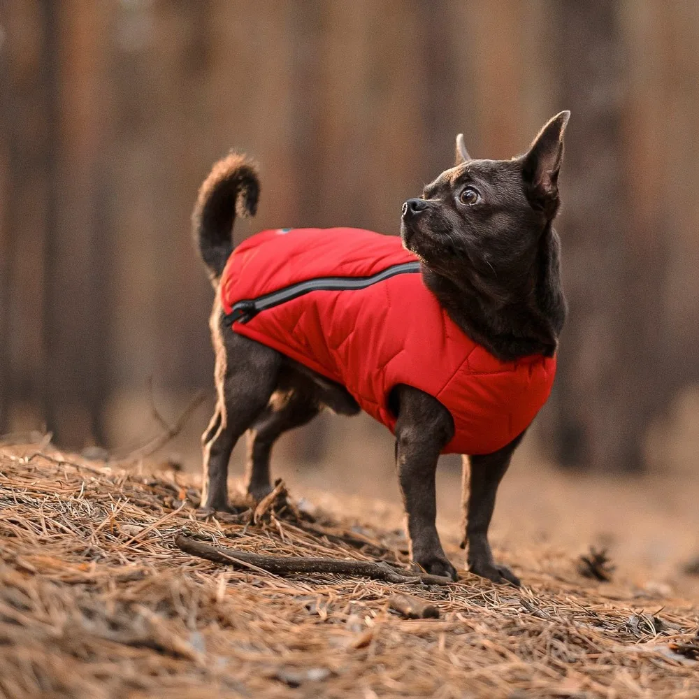 Жилет Pet Fashion E.Vest для собак червоний M — фото 3