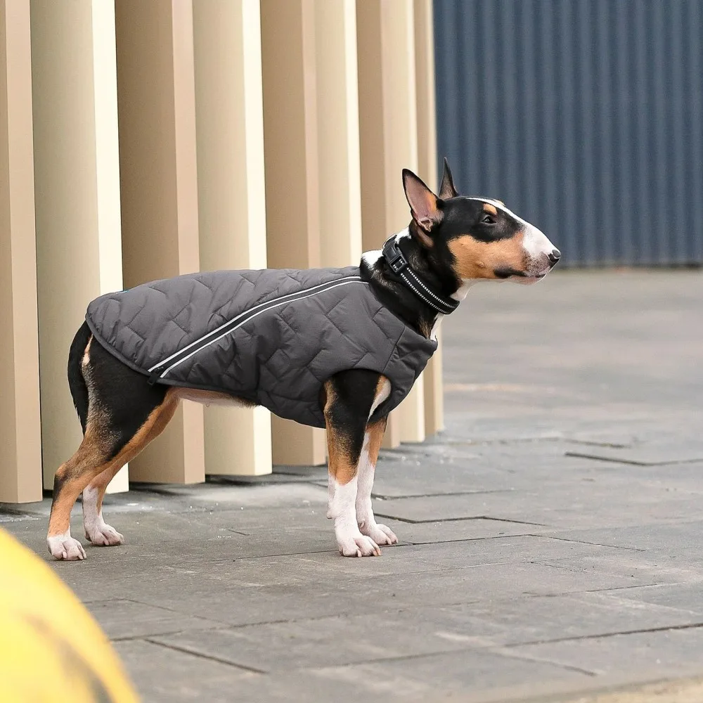 Жилет Pet Fashion E.Vest для собак сірий XS-2 — фото 3