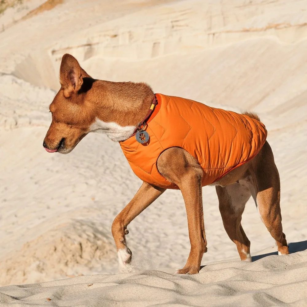 Жилет Pet Fashion E.Vest для собак помаранчевий L — фото 3