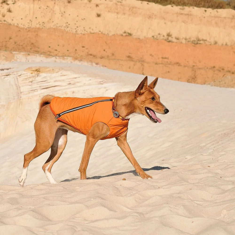 Жилет Pet Fashion E.Vest для собак помаранчевий XS-2 — фото 4