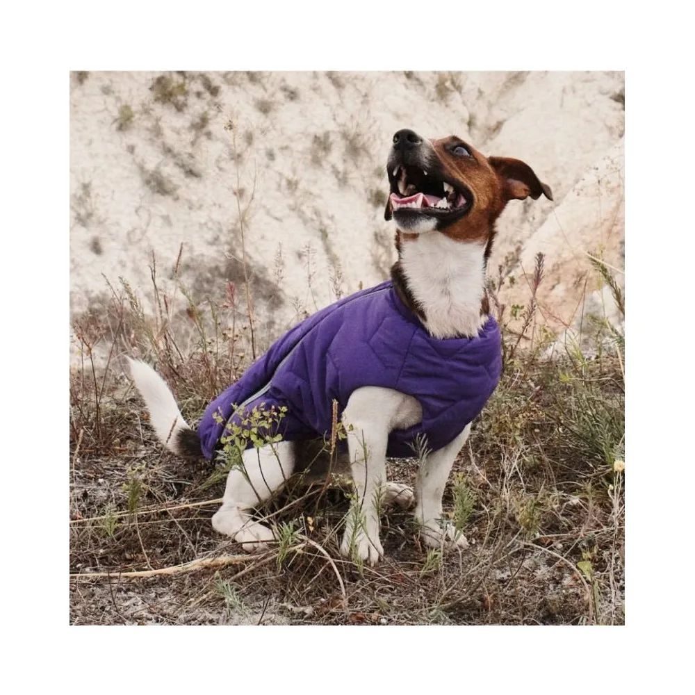 Жилет Pet Fashion E.Vest для собак фіолетовий XS — фото 4