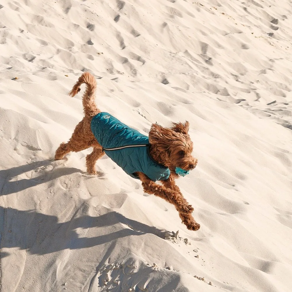 Жилет Pet Fashion E.Vest для собак морська хвиля M2 — фото 4