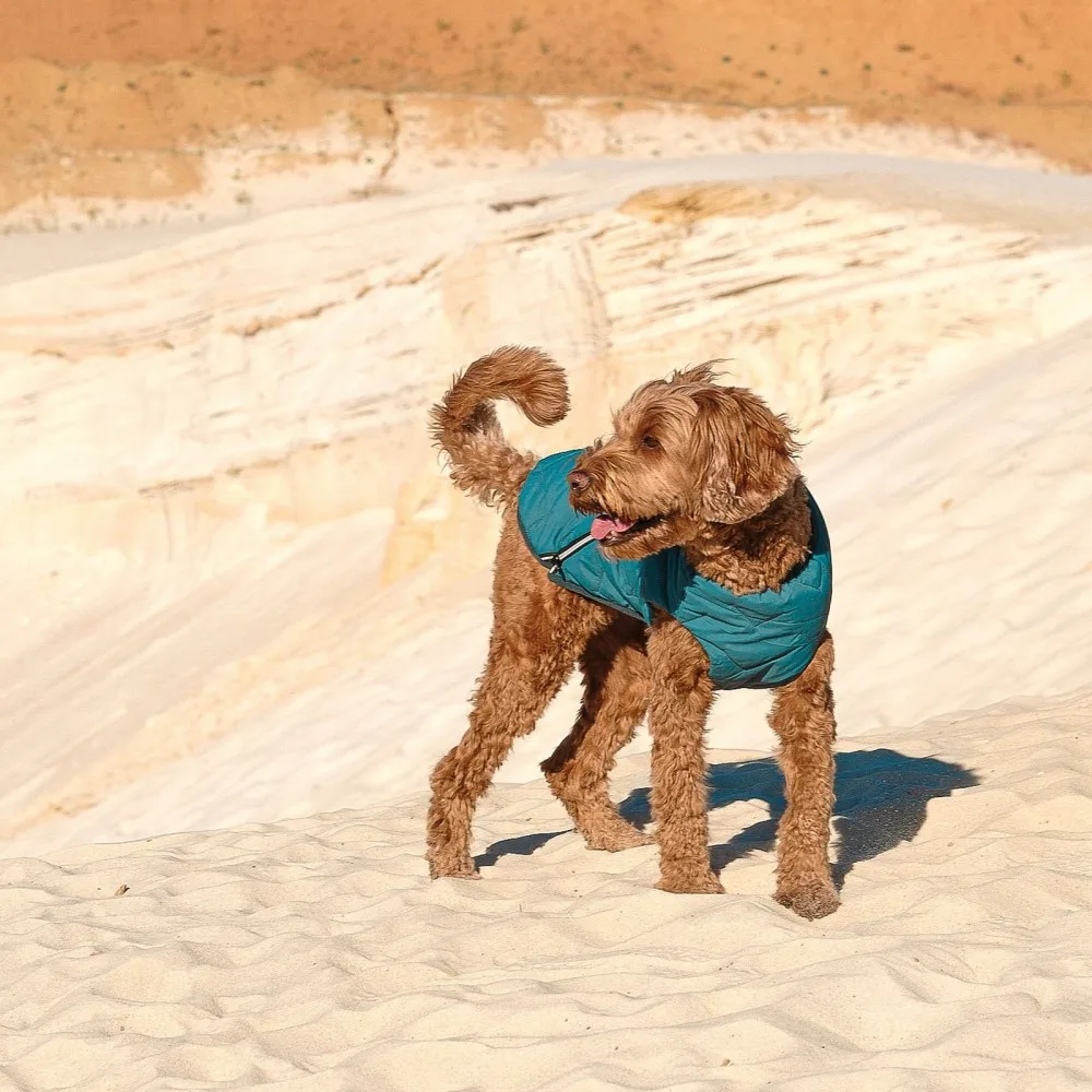 Жилет Pet Fashion E.Vest для собак морська хвиля SМ — фото 3
