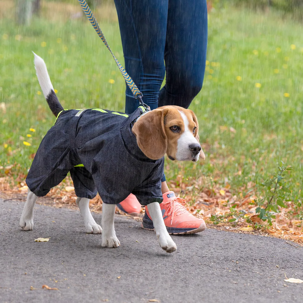 Комбінезон Pet Fashion Rain для собак сірий 5XL — фото 4