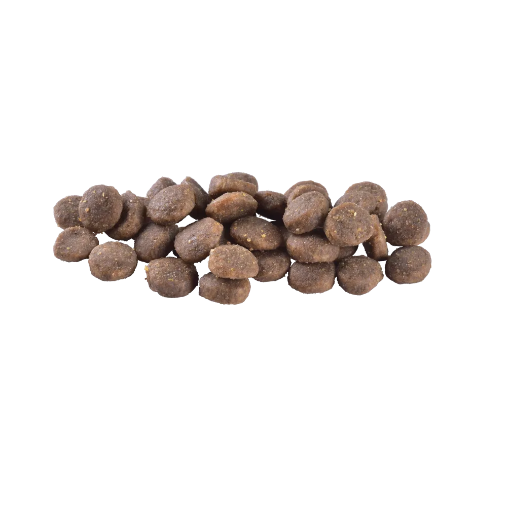 Корм сухий Brit Care Dog Grain-free Puppy для цуценят беззерновий з лососем 3 кг — фото 2