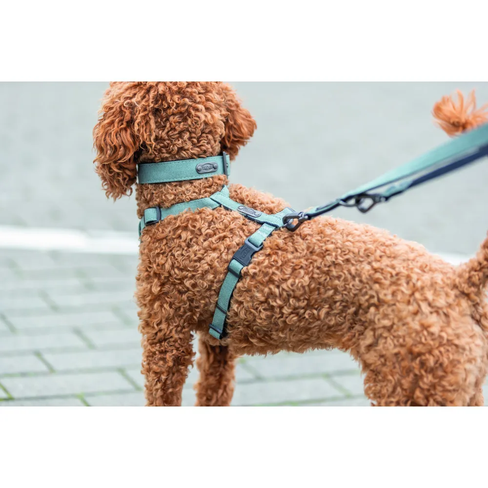 Шлея Trixie CityStyle H-harness для собак бавовна M–L 52–75 см 20 мм світло-зелена — фото 3