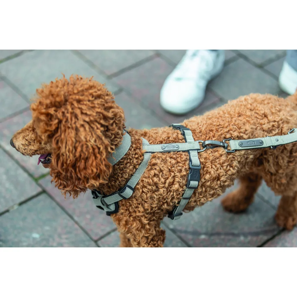 Нашийник Trixie CityStyle для собак екстраширокий бавовна M–L 40–47 см 30 мм світло-сірий — фото 4