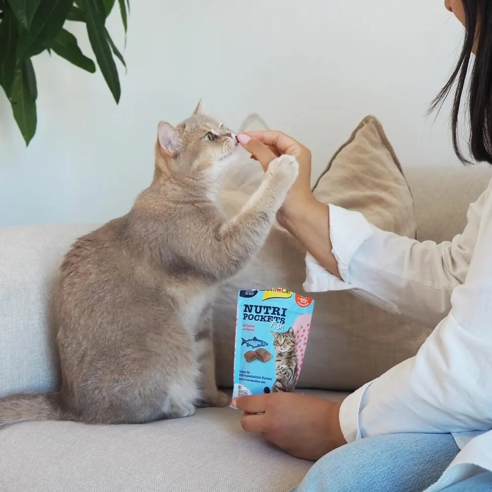 Ласощі Nutri Pockets для котів Рибні Лосось 60г — фото 3