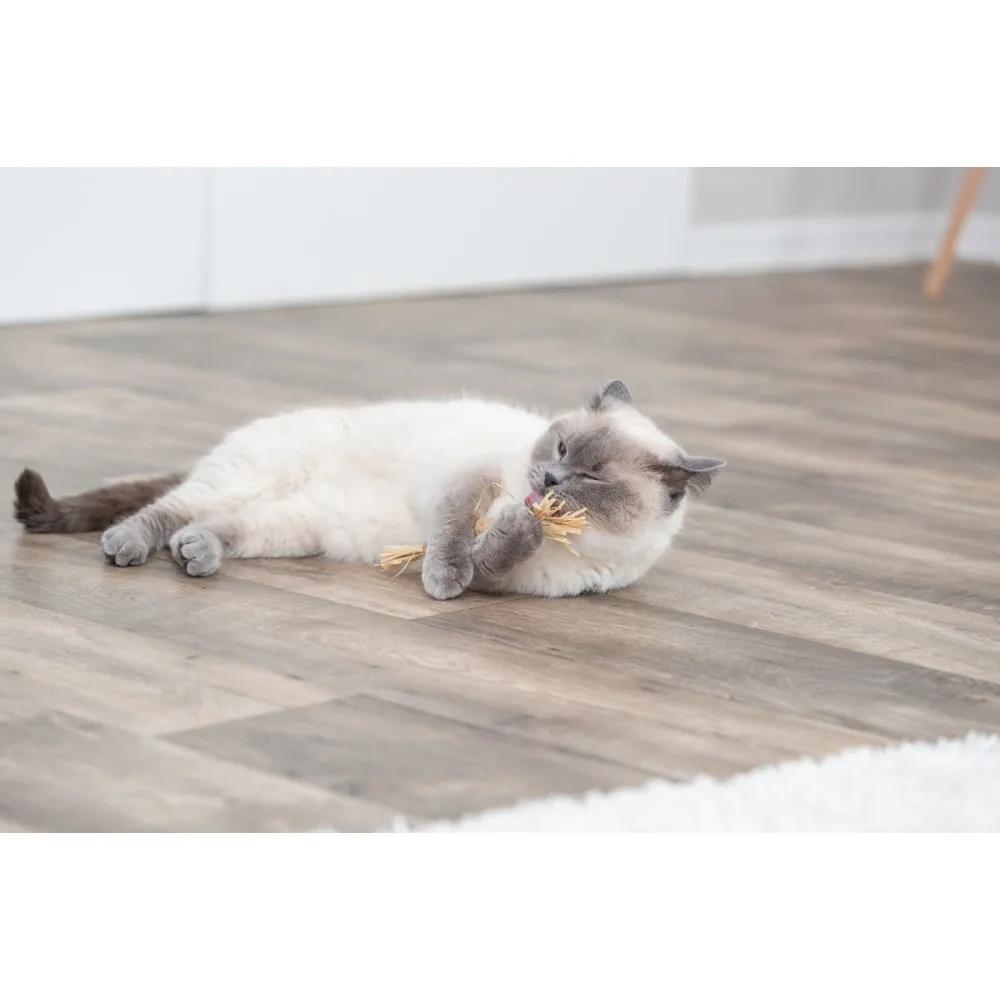 Іграшка Trixie для котів Палиця з мататабі з китицями 24 см — фото 3