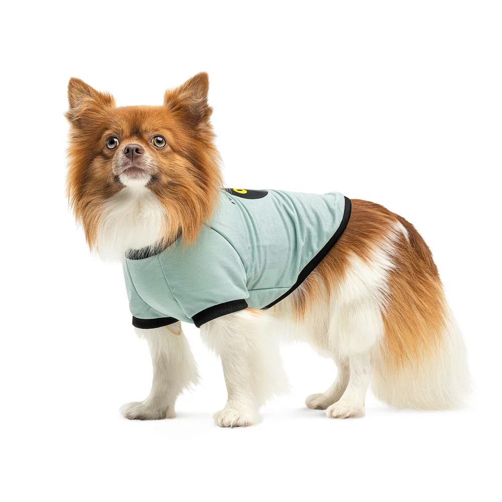 Футболка Pet Fashion Oscar для собак бавовна трикотаж рібана блакитна XS2 — фото 2