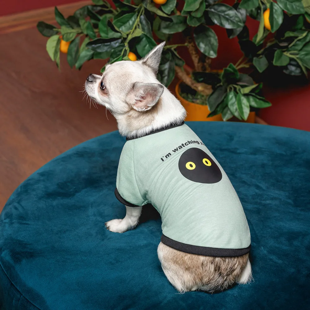 Футболка Pet Fashion Oscar для собак бавовна трикотаж рібана блакитна XS2 — фото 4
