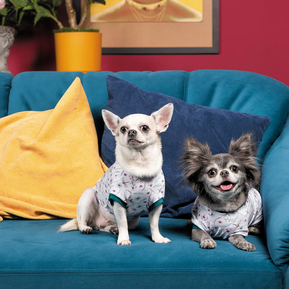Футболка Pet Fashion Flora для собак бавовна трикотаж біла з квітковим принтом S — фото 4